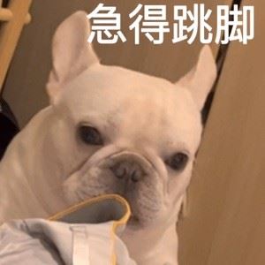 Ergggdh435435